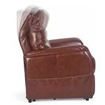 Golden Technologies Lift Recliners - 1 Zone Chairs