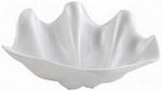 Shell Bowls