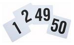 Plastic Table Numbers