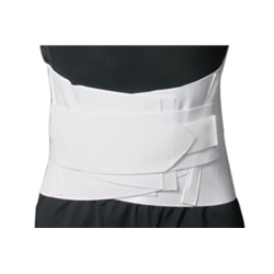 AliMed® Lumbosacral Support Plus